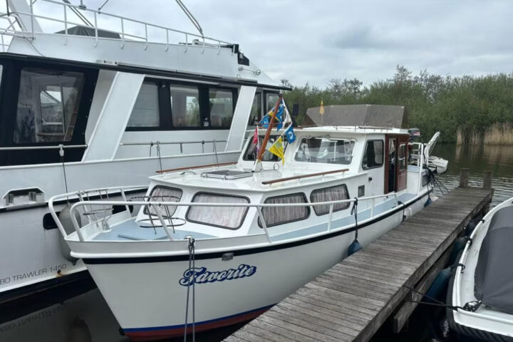 Hewi 9.50 AK - Afbeelding 2